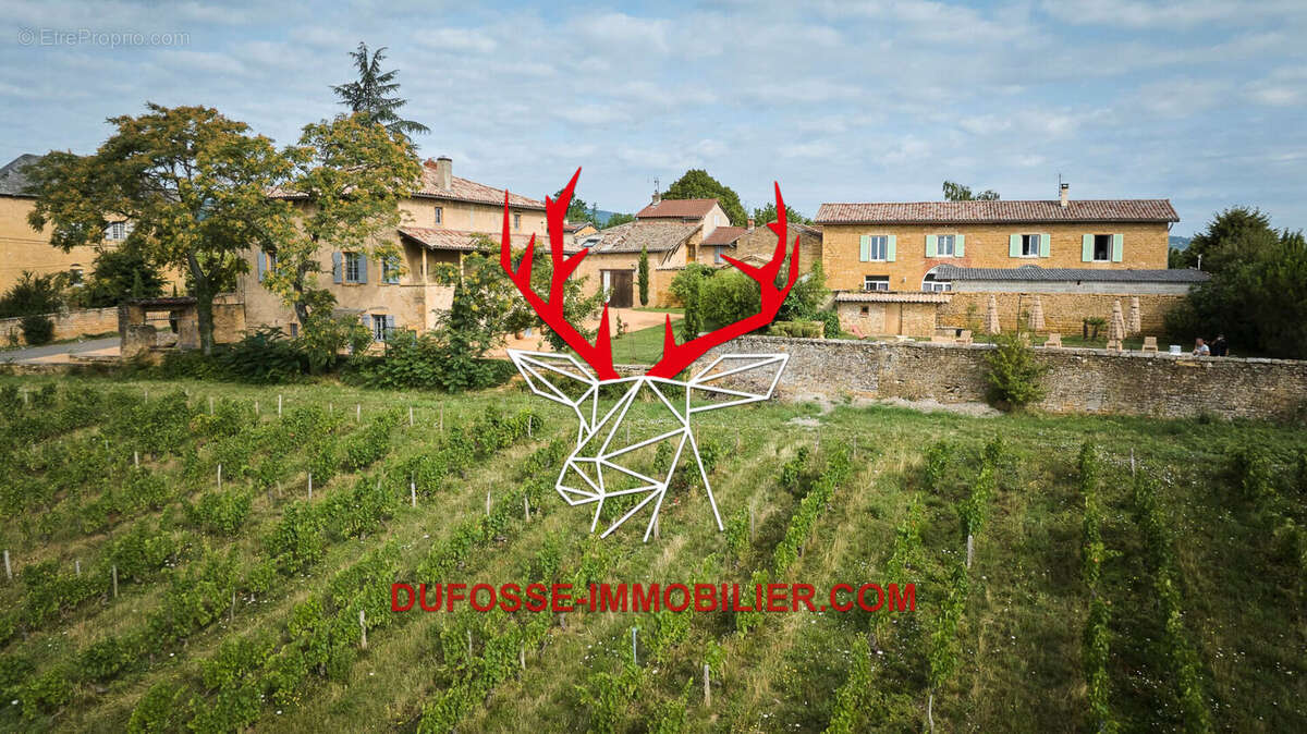 Maison à POUILLY-LE-MONIAL