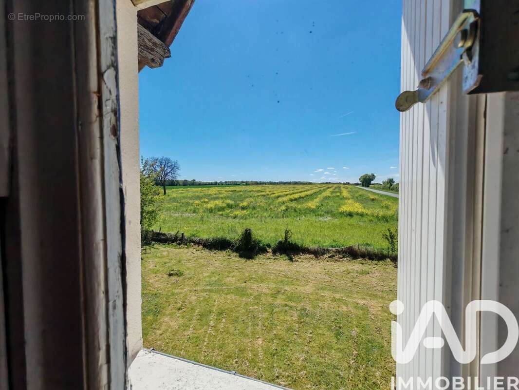 Photo 9 - Maison à SAVIGNE