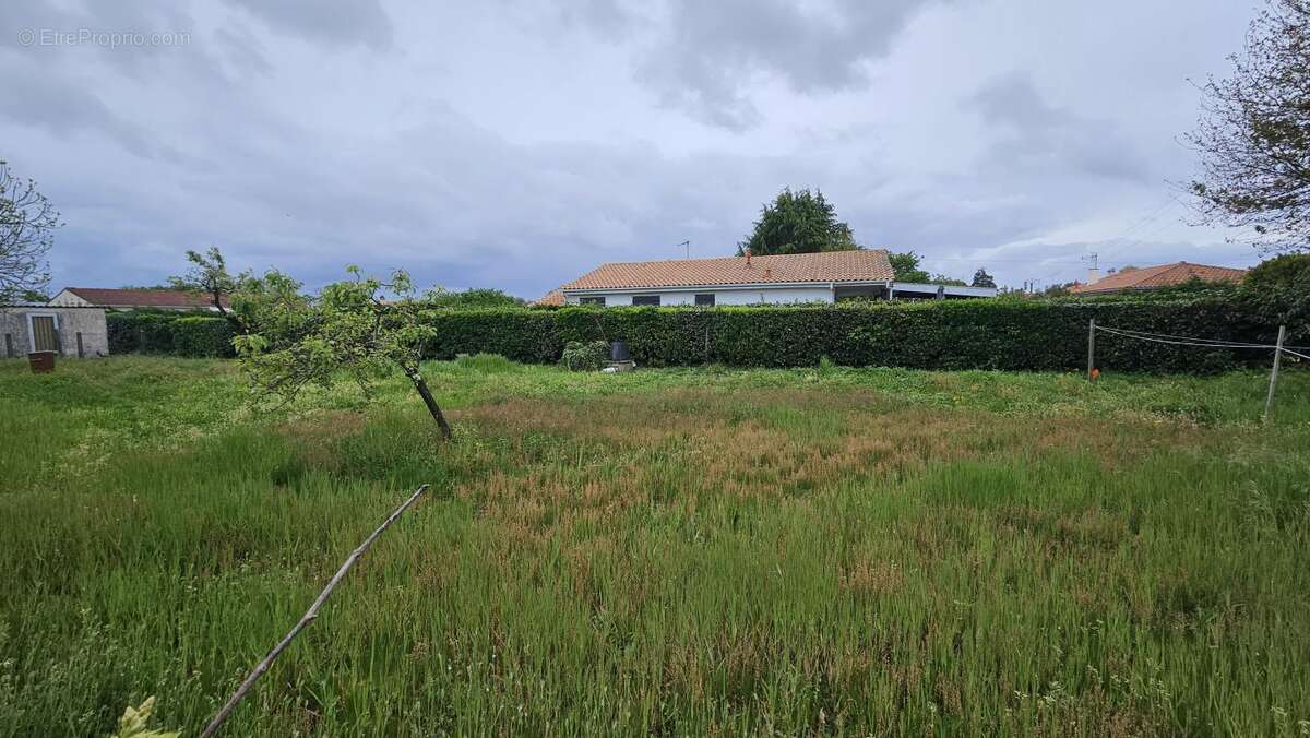 Terrain à LUDON-MEDOC
