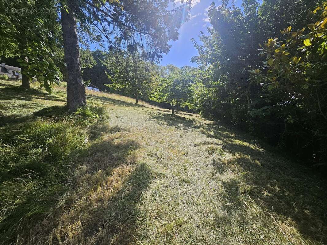 Terrain à MANNEVILLE-LA-PIPARD