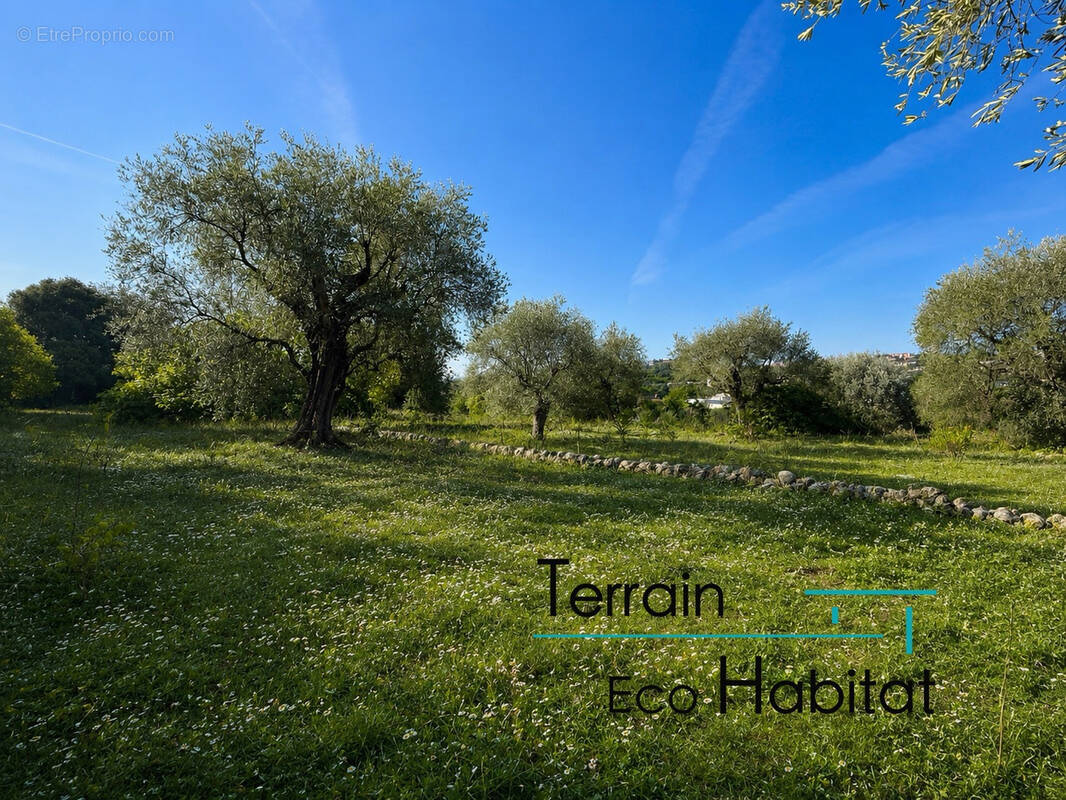 Terrain à GRASSE