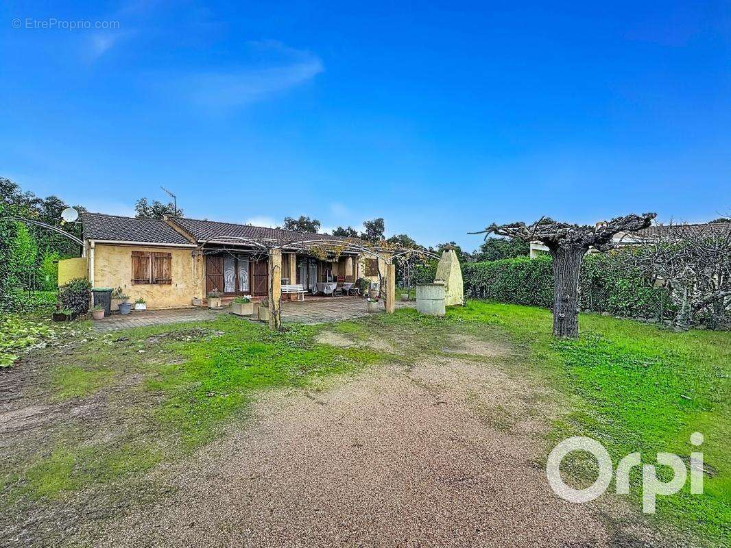 Maison à SAN-GAVINO-DI-CARBINI