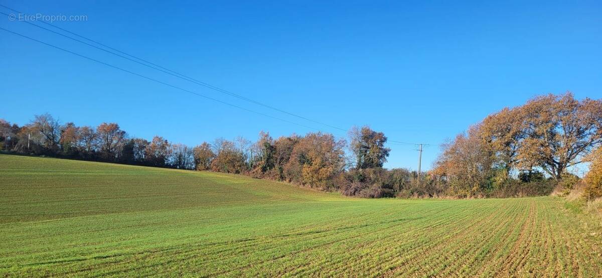 Terrain à SAINT-SAUVY