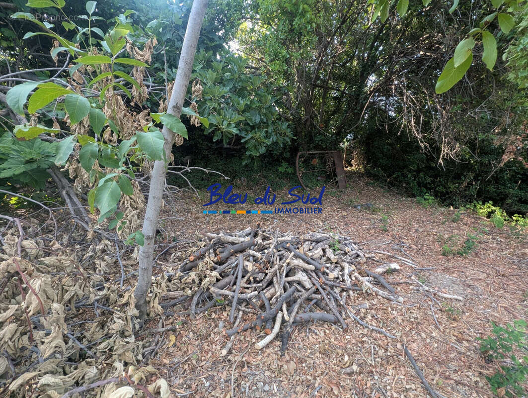Terrain 949 m² à Escaro  - photo 6