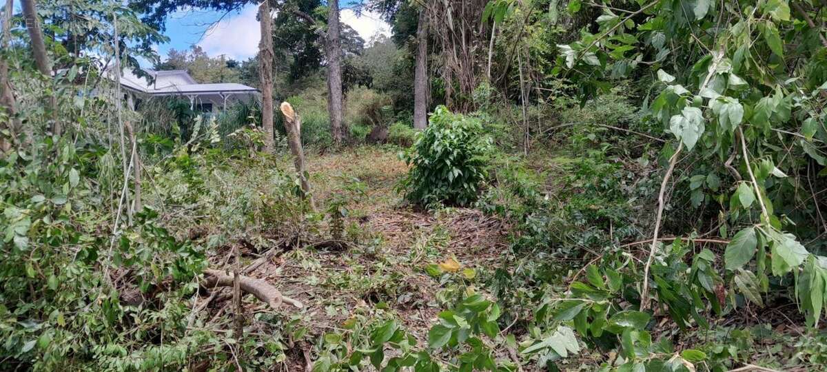 Terrain à CASE-PILOTE