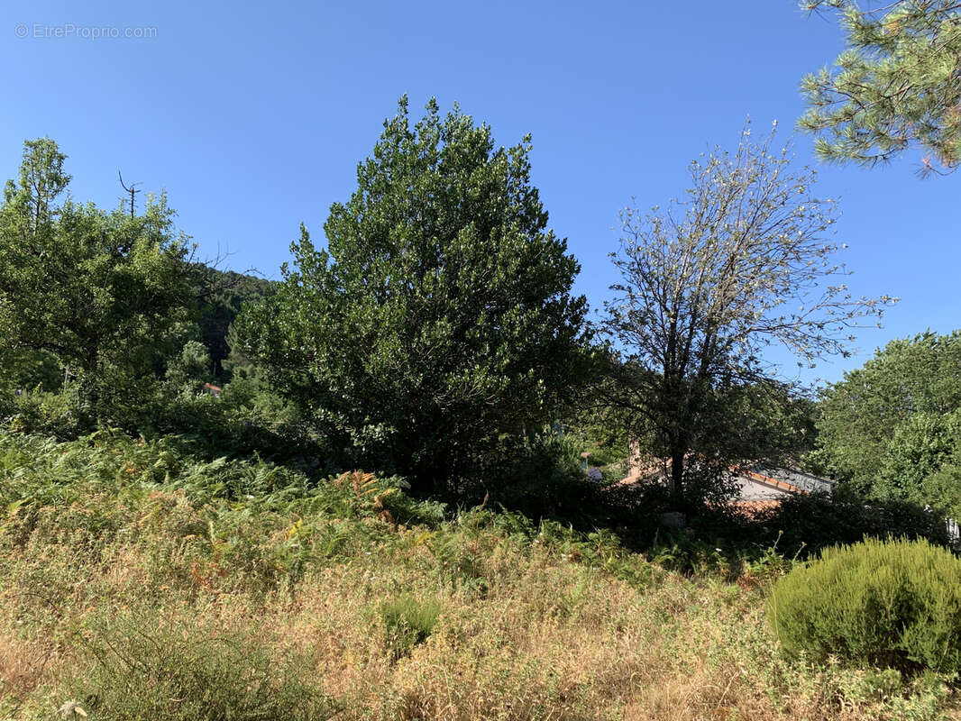 Terrain à bâtir à Cartalavone, commune de Porto-Vecchio - photo 7