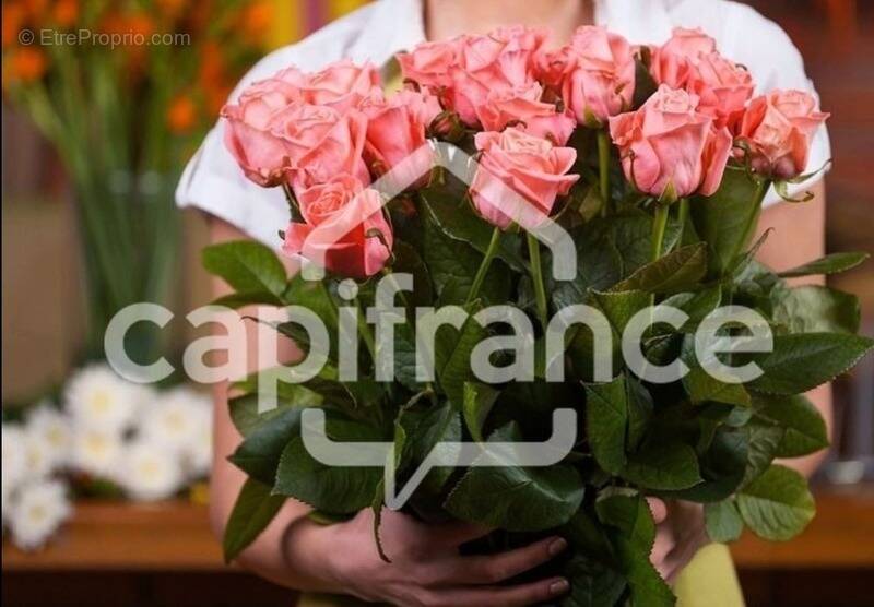 Commerce à GUINGAMP