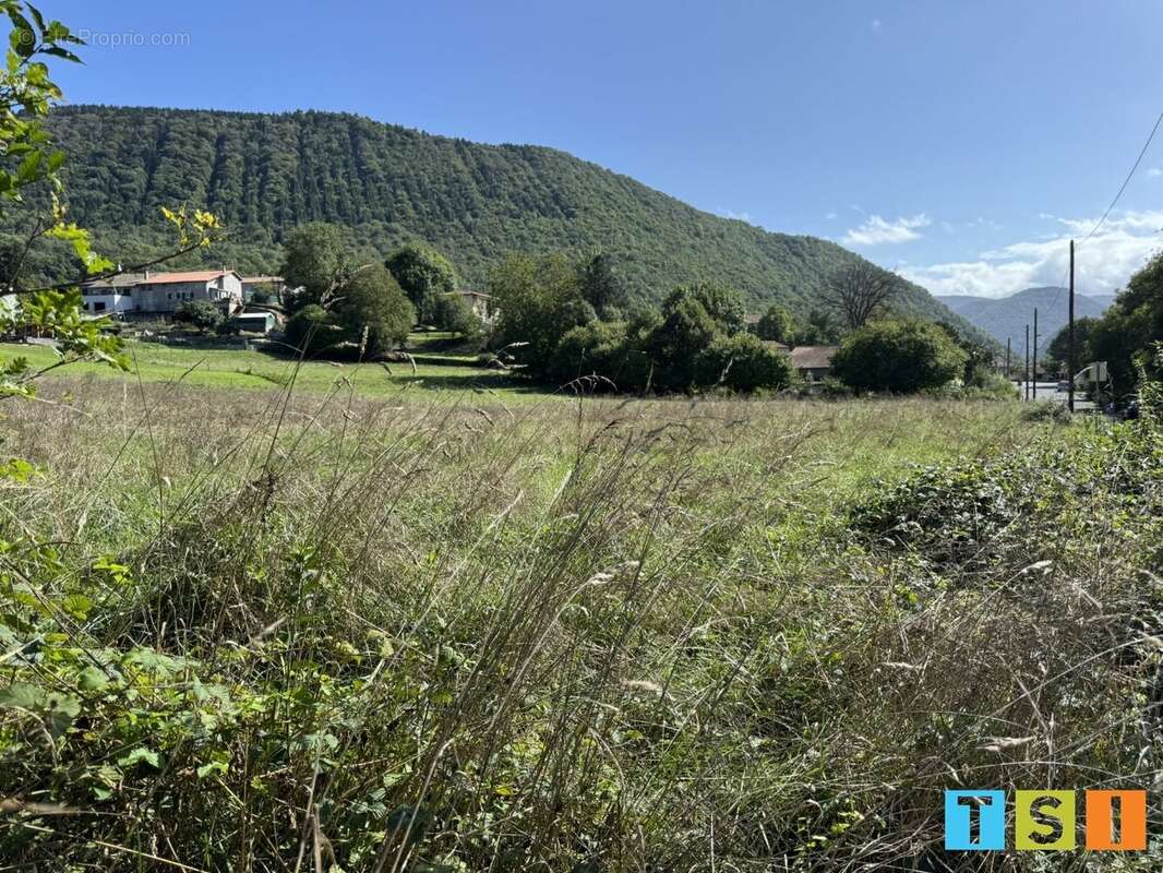 Terrain à BARBAZAN