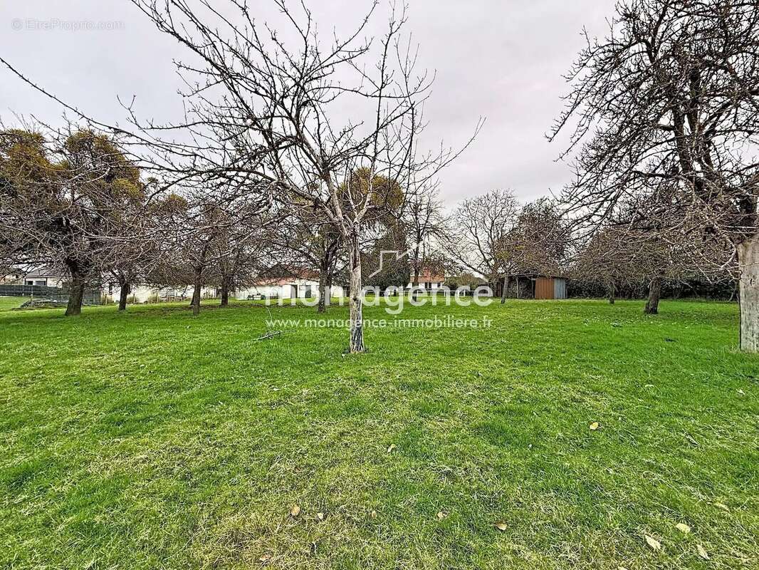 Terrain à MESNIL-RAOUL