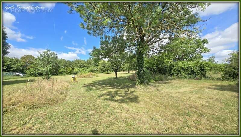 Maison FAMILIALE à vendre 8 pièces (226m²) à SAINT PIERRE DE JUILLERS (17) sur plus d'1 hectare de terrain avec HANGAR et DEPEND - photo 20