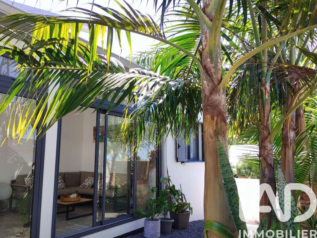 Photo 3 - Maison à PETITE-ILE