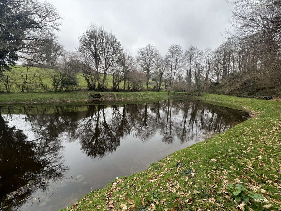 Etang de 4000 m2 sur une parcelle de 5 733 m2 ! - photo 5