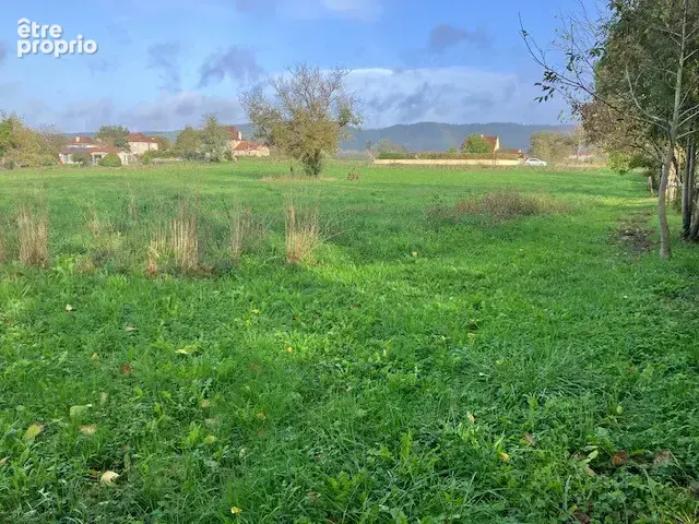 Terrain en bord de la Dordogne à Pechs-de-l'Espérance - 6370m2 - photo 8