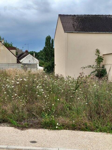 Terrain à LAGNY-SUR-MARNE