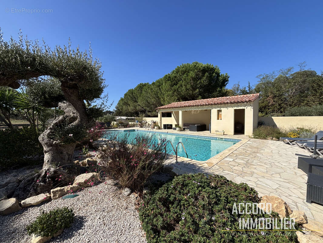 Vinassan ! Maison vigneronne de prestige de 300m2 sur 5000m2 de terrain clos - photo 2