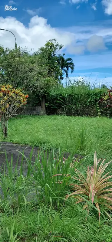 Maison de type t4 + t2 a vendre sur un terrain de 1290 m2 a sainte-rose - photo 11