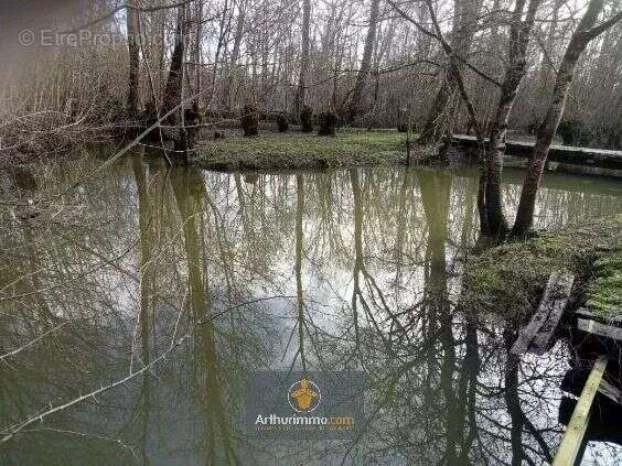 Terrain à SAINT-HILAIRE-LA-PALUD