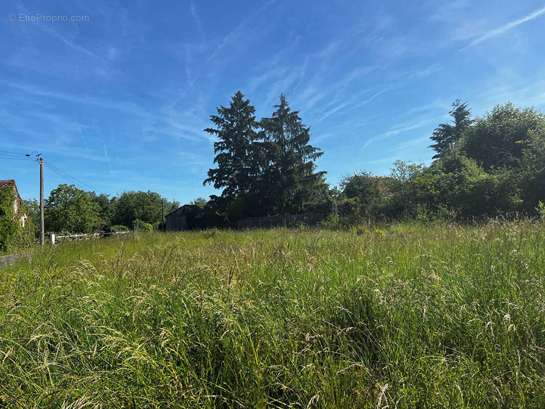 Terrain à SAINT-GEORGES-SUR-CHER