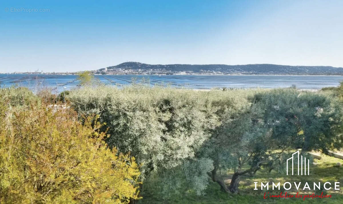 Maison 217 m² à Bouzigues  - photo 4