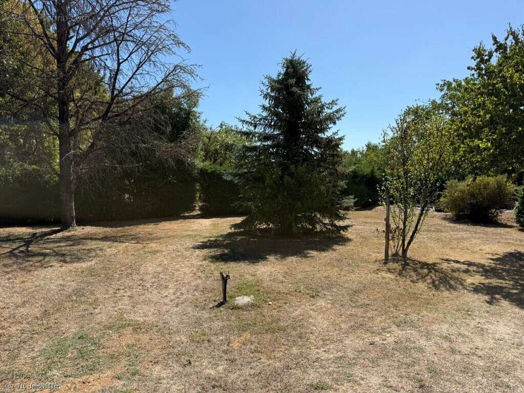 Maison de Campagne au Calme Avec 3 Chambres et Terrain - photo 21
