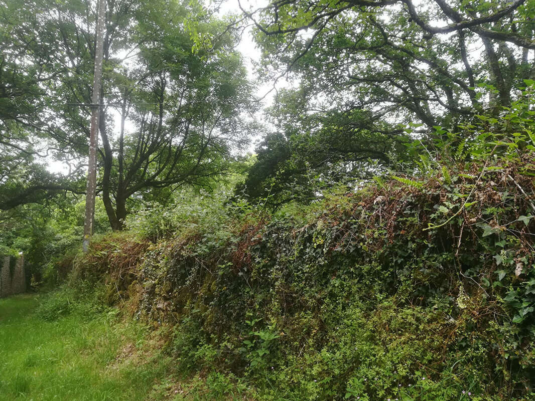 Terrain à QUISTINIC
