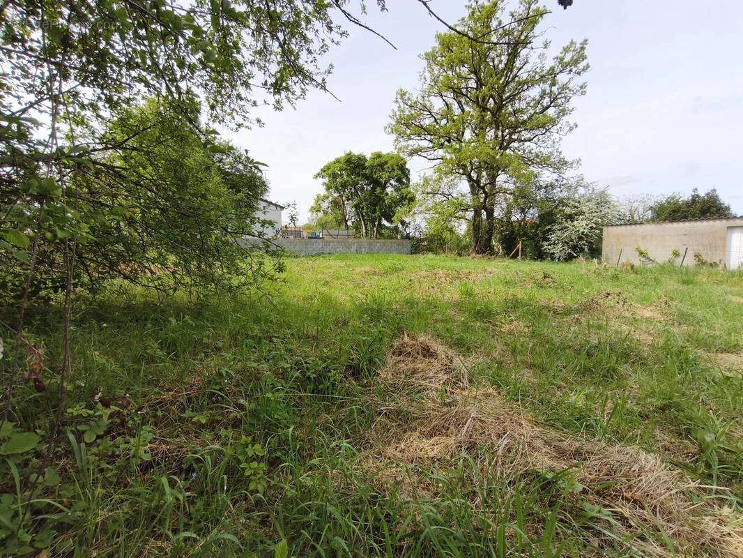 Terrain à VOUNEUIL-SOUS-BIARD