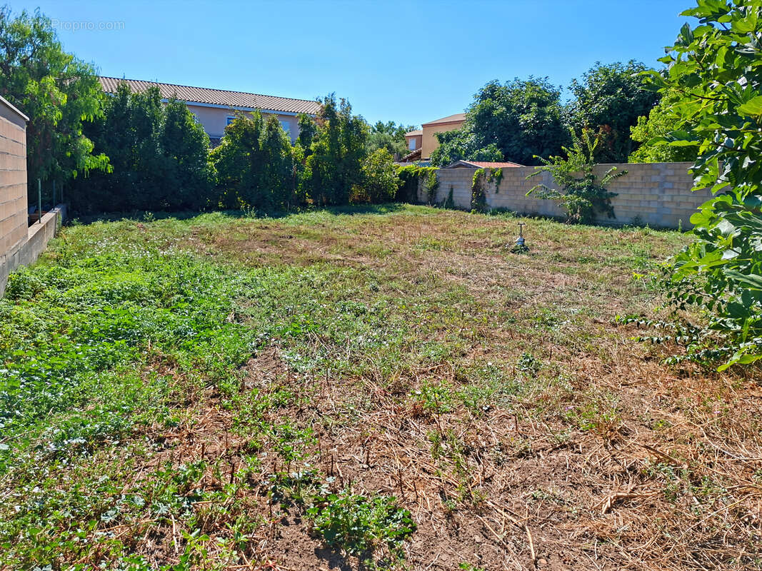 Terrain à CAZOULS-LES-BEZIERS
