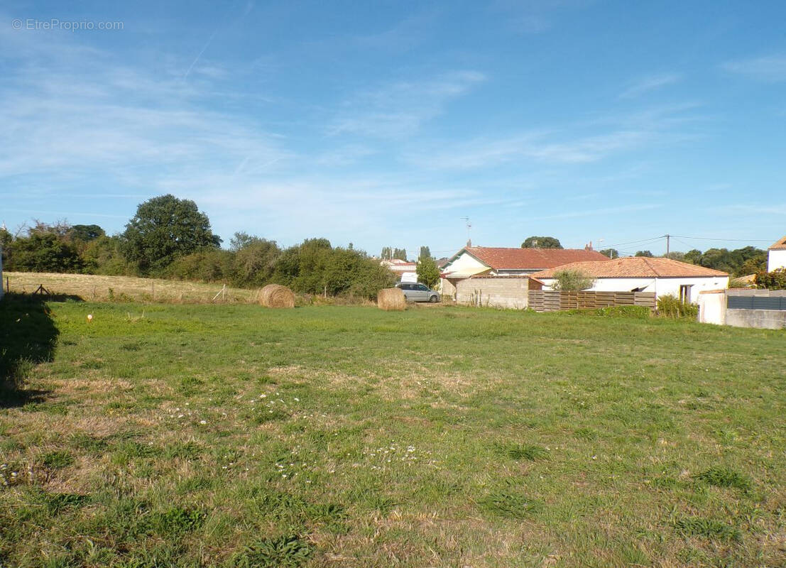 Terrain à SAINT-MICHEL-CHEF-CHEF