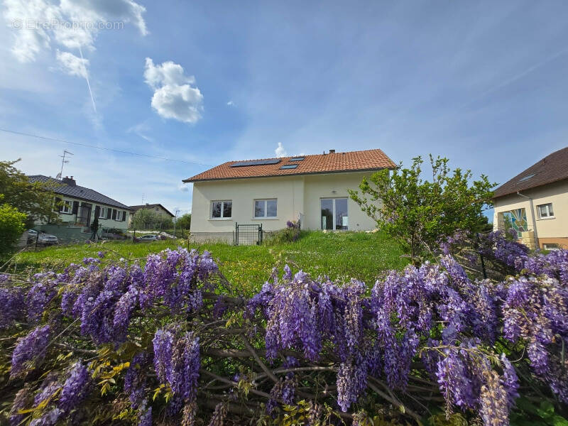 Maison à BUSCHWILLER