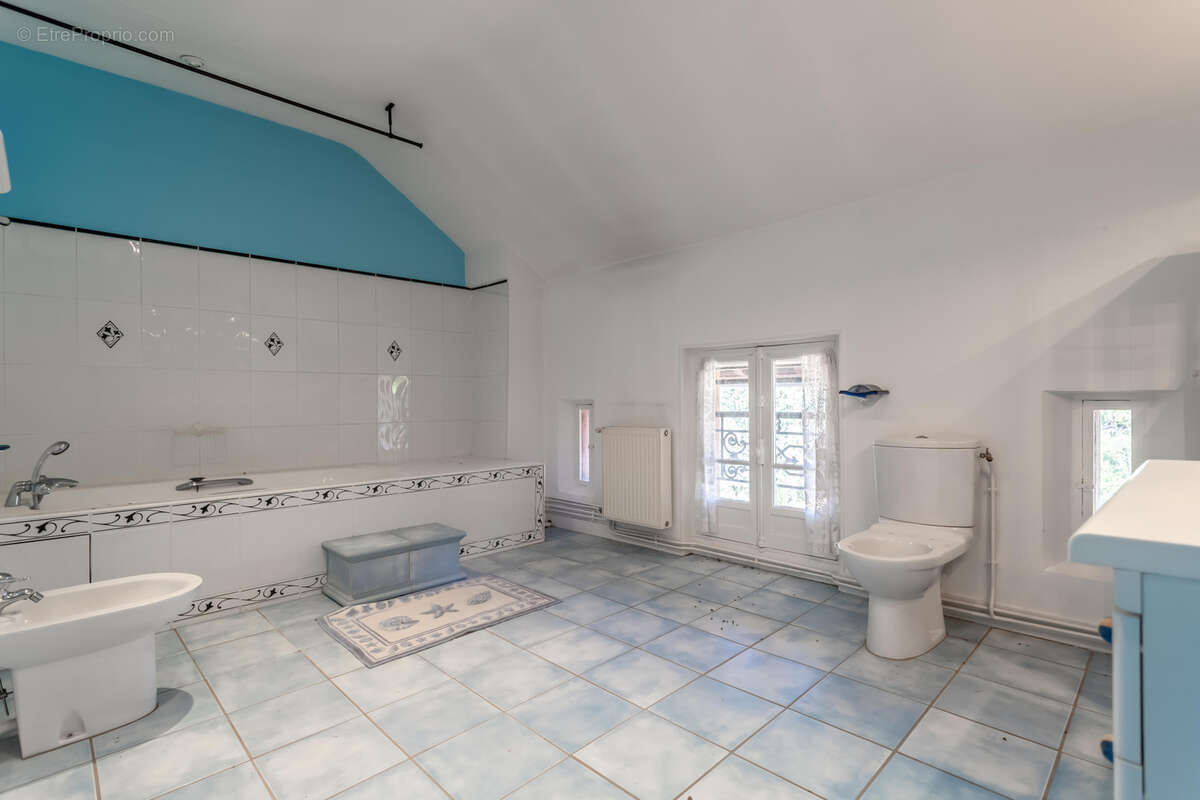 Domaine Superbe propriété à L'Union Toulouse ! - photo 54