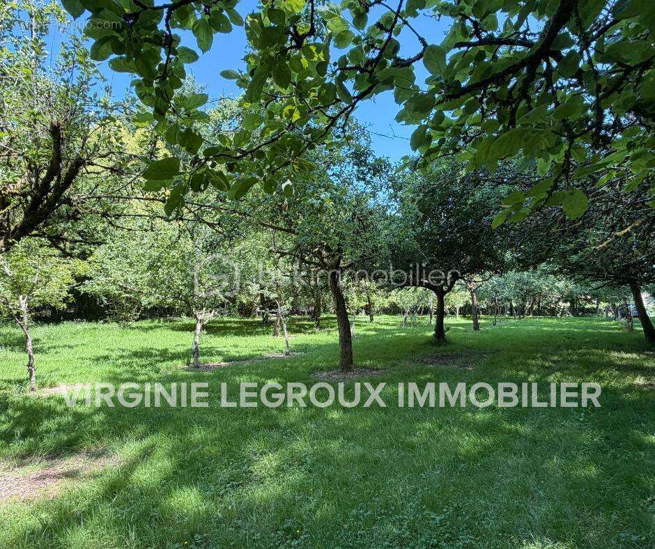 Terrain de loisirs de 15.000m2 avec pièce d'eau et verger - photo 6