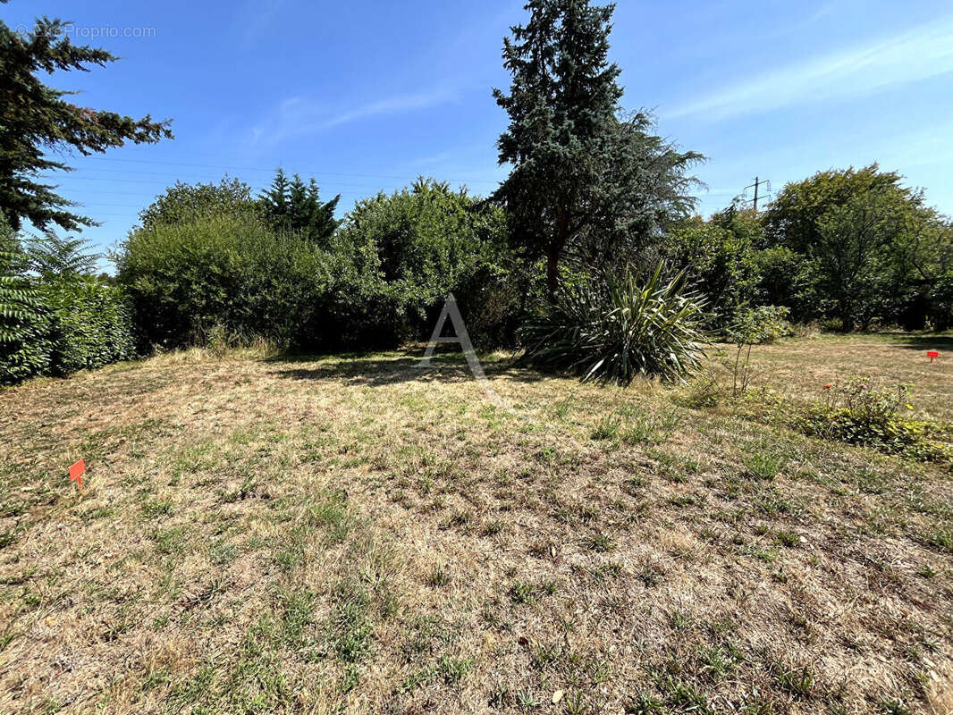 Terrain Vannes - photo 2