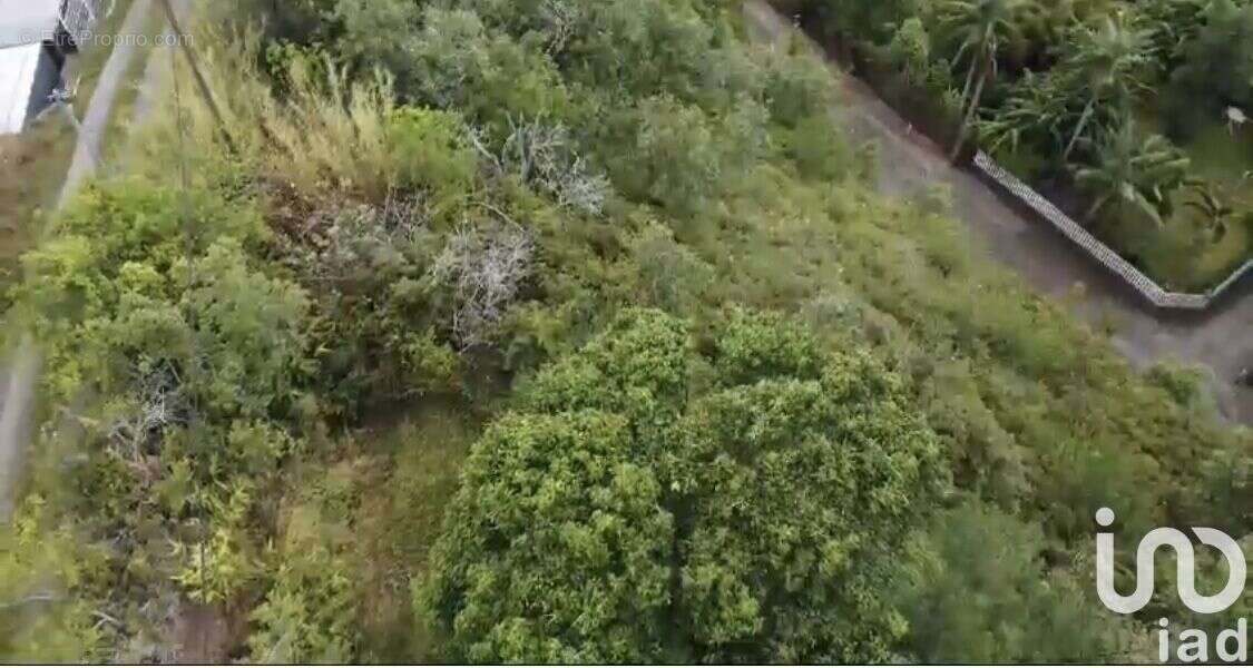 Photo 7 - Terrain à SAINT-DENIS