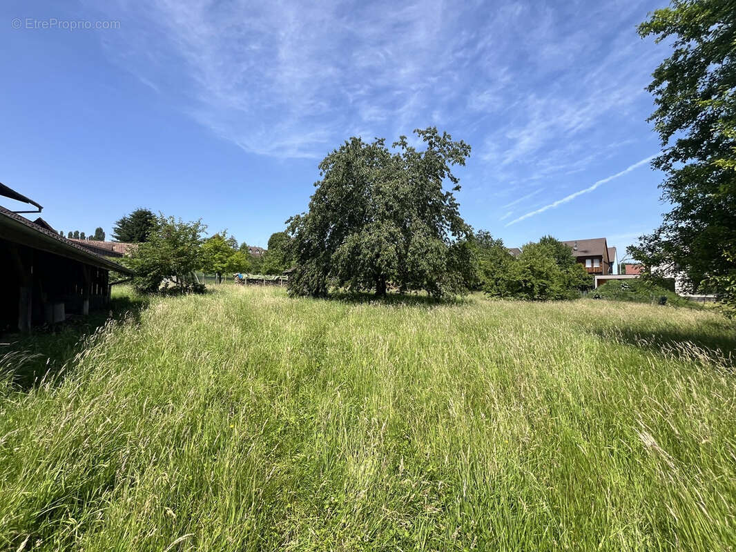 Folgensbourg au calme terrain constructible de 14,80 ares - photo 5