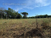 Terrain à TOURRETTES