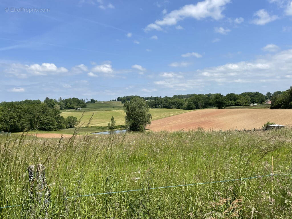 Terrain à JUILLAC