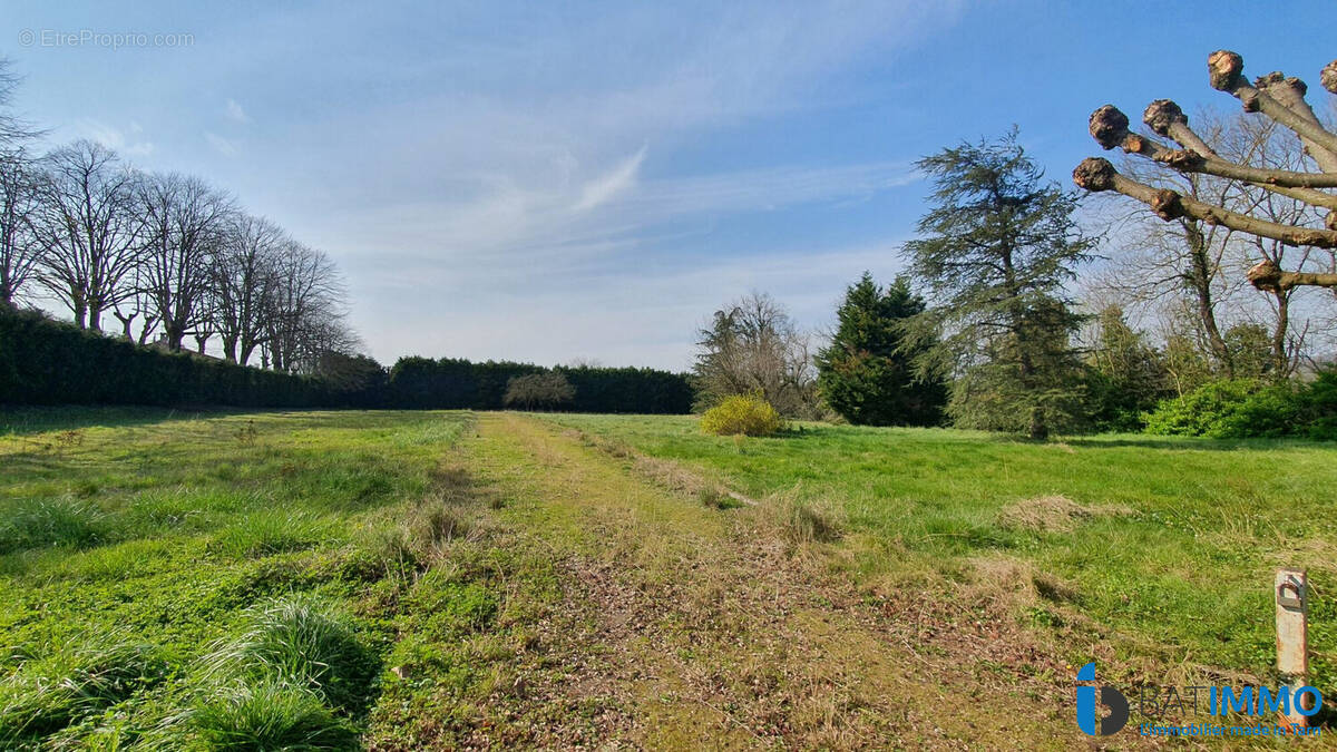 Terrain à MAZAMET