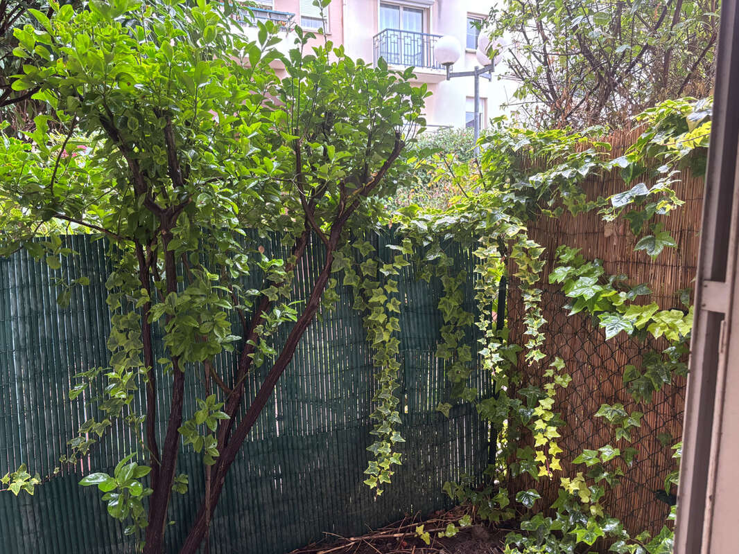 Appartement à BEZONS