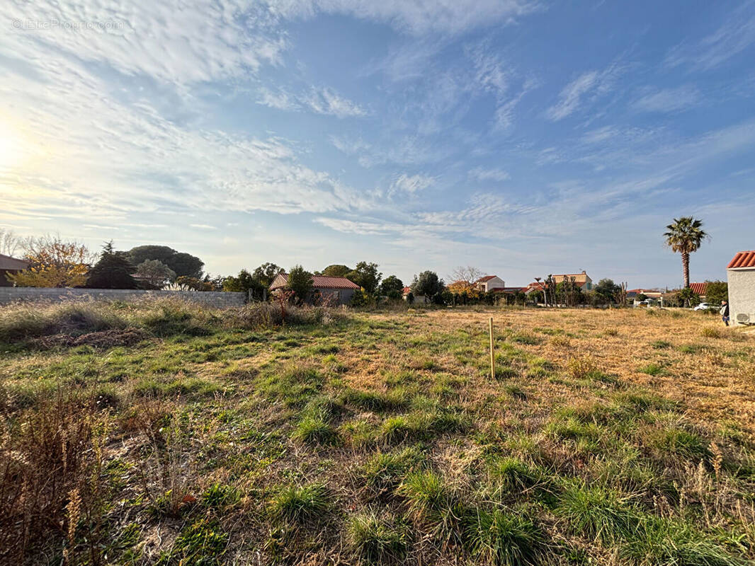 Terrain à MONTESQUIEU-DES-ALBERES