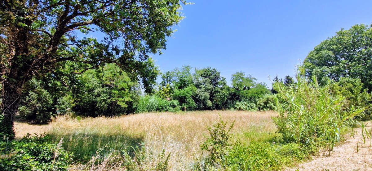 terrain plat et constructible 2135 m2 84500 bollene - photo 3