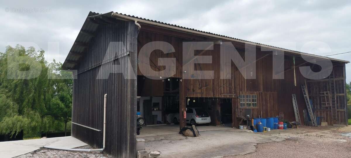 IMG_20250515_155846 - Maison à LISIEUX