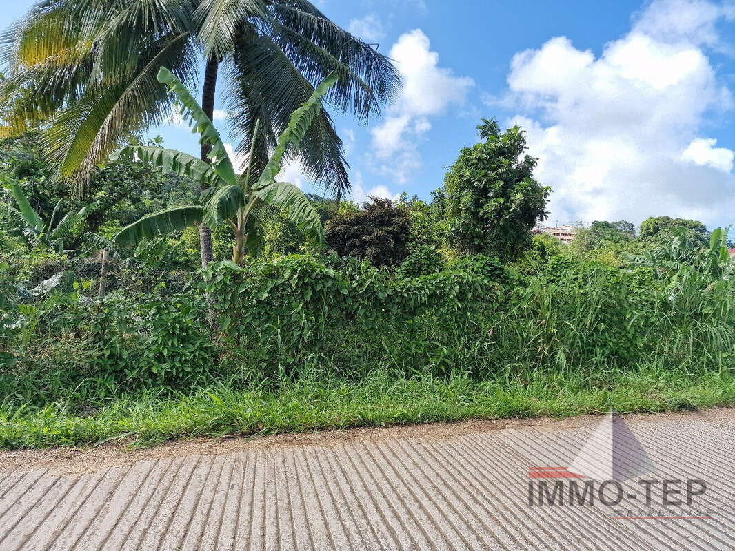 Terrain à RIVIERE-PILOTE