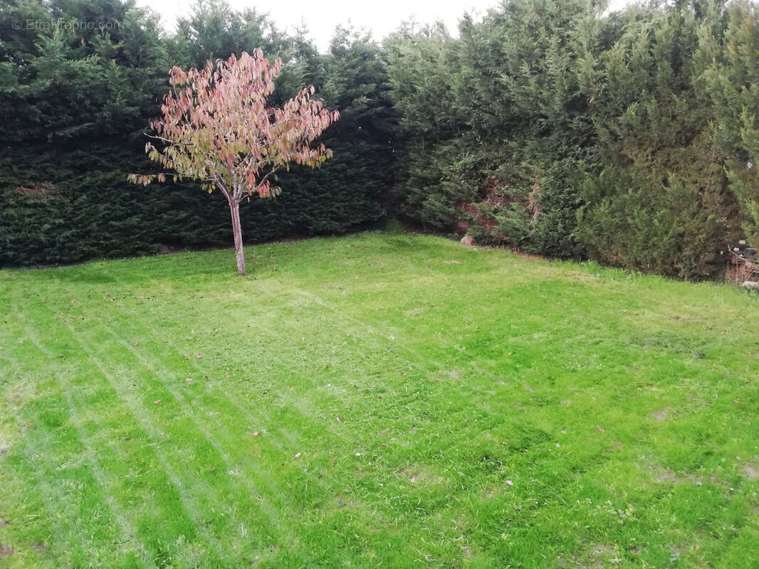 Maison à LE LOROUX-BOTTEREAU