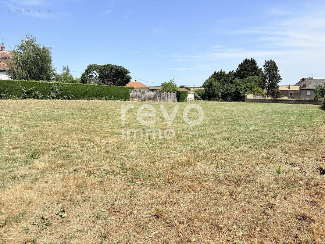 terrain à bâtir de 1600m² à découper en 3 lots - photo 6