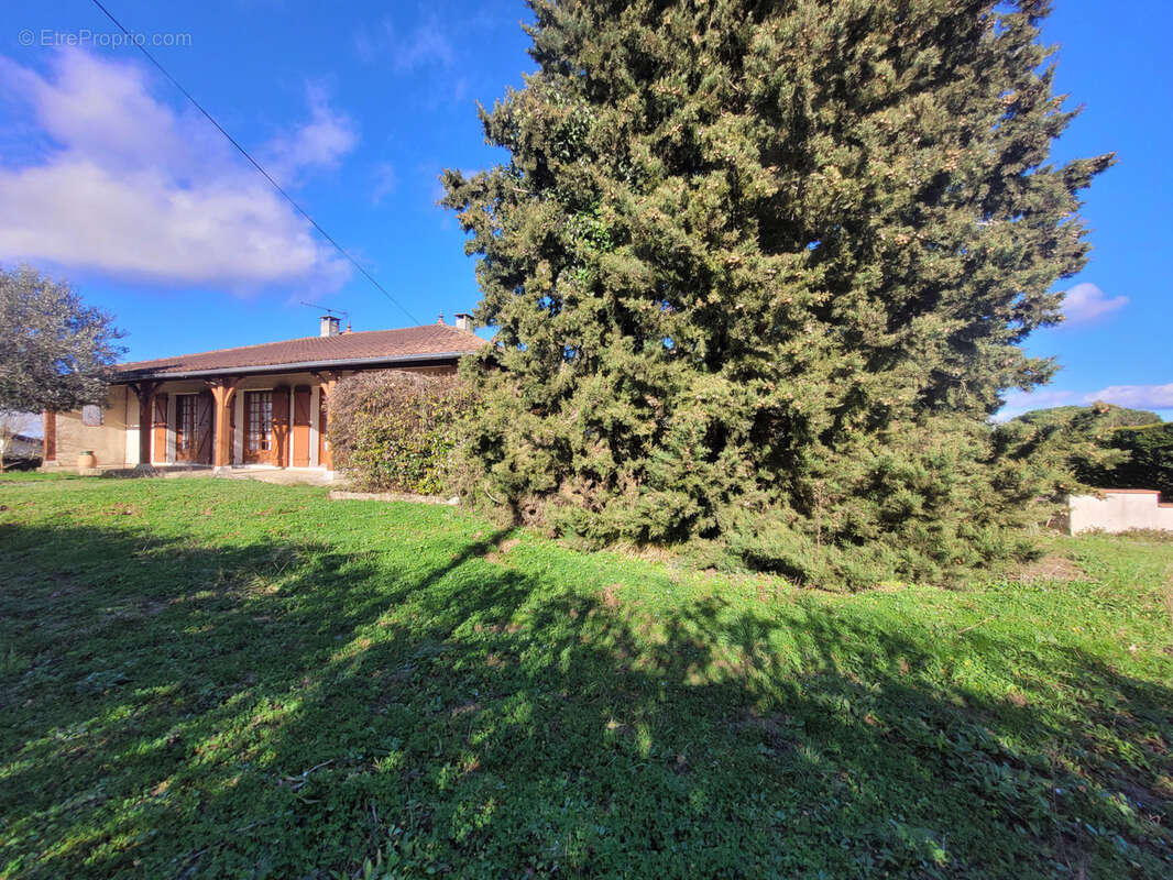 Maison à L'ISLE-JOURDAIN