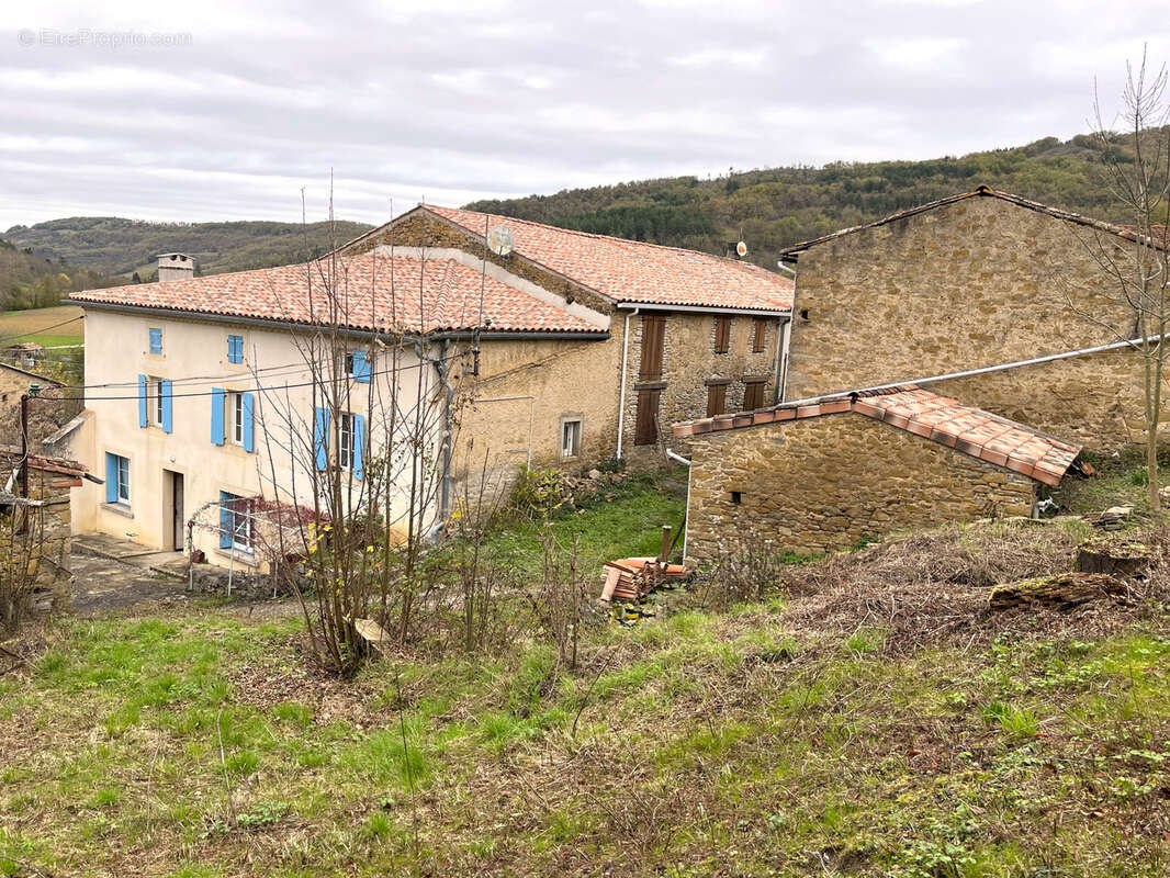 A vendre maison + dependances sur 1,2ha de terrain    chalabre - photo 2