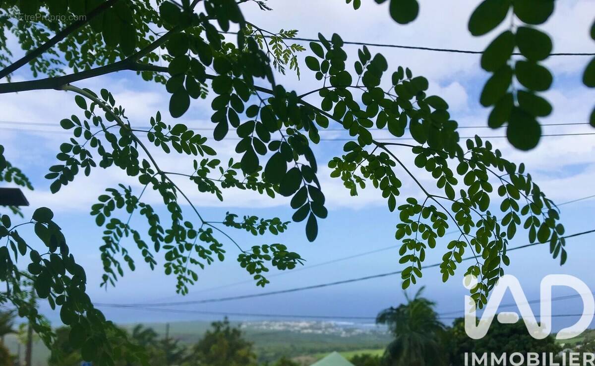 Photo 1 - Terrain à LES AVIRONS