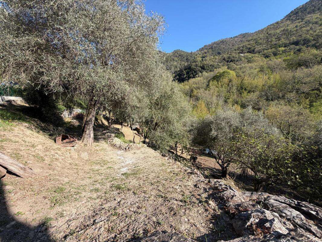 Maison à SAINT-BLAISE
