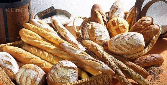 Commerce à LE HAVRE