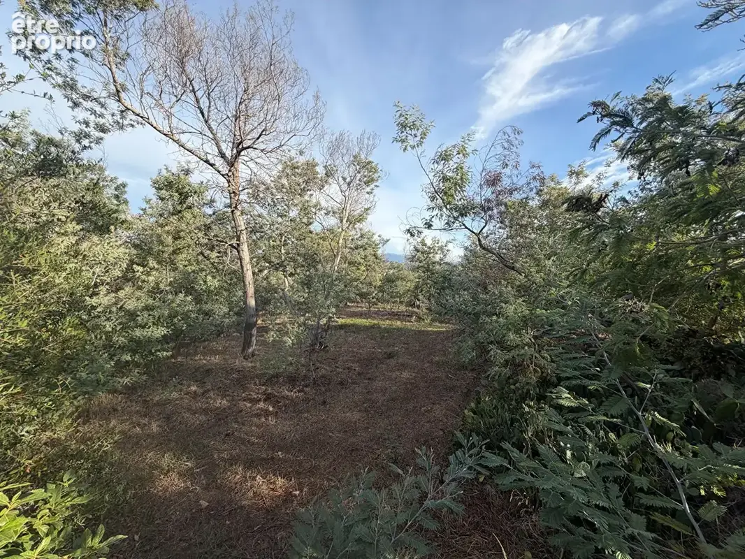 Cannes - croix-des-gardes  propriété à fort potentiel sur 3 920 m² - photo 12